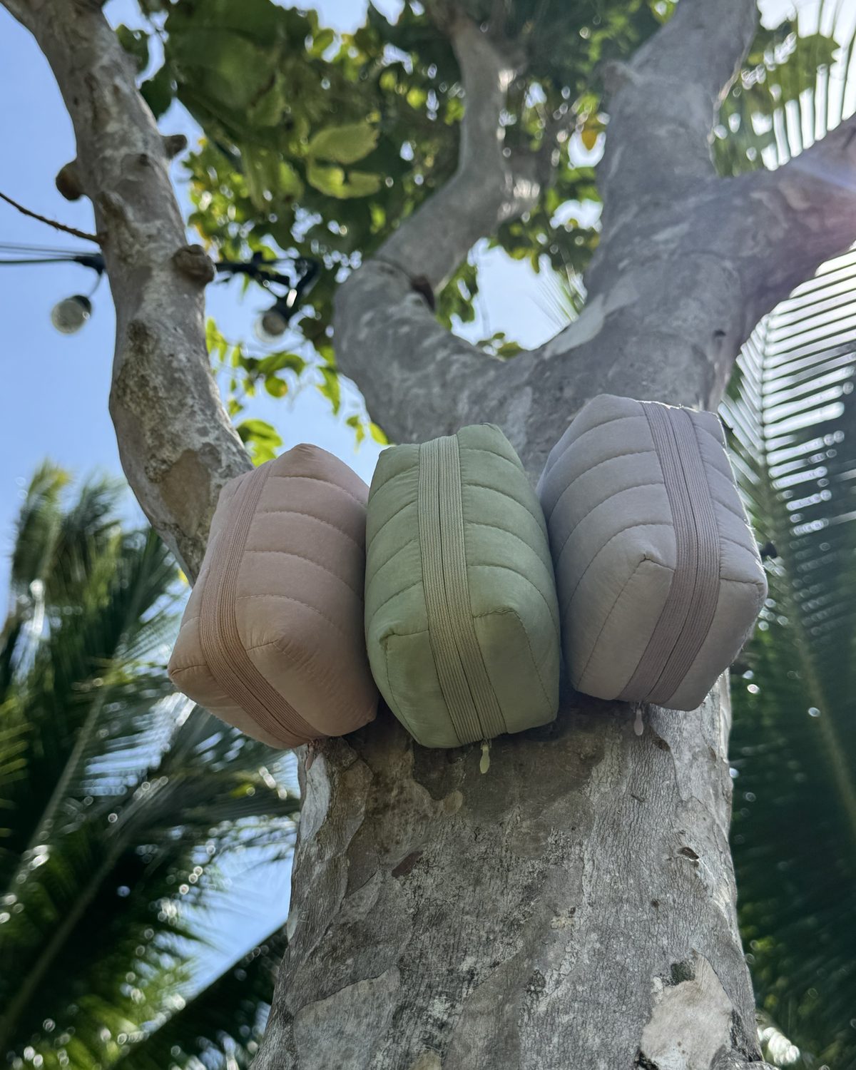 Three allour pouches resting on a tree trunk
